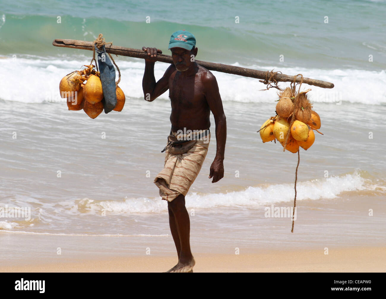 a-coconut-seller-walking-along-the-beach-carrying-coconuts-hikkaduwa-CEAPW0.jpg