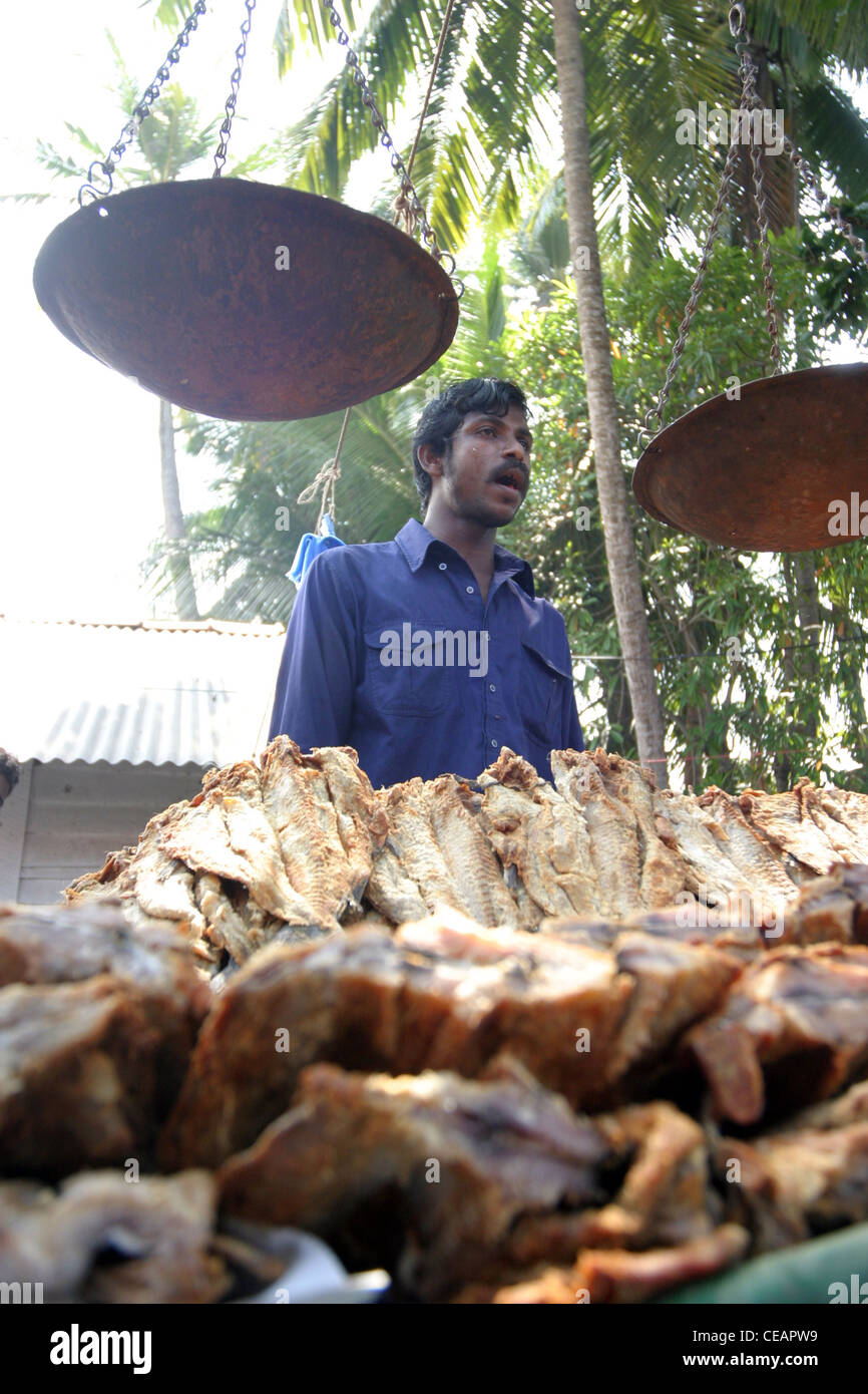 Sri lankan dried fish hires stock photography and images Alamy