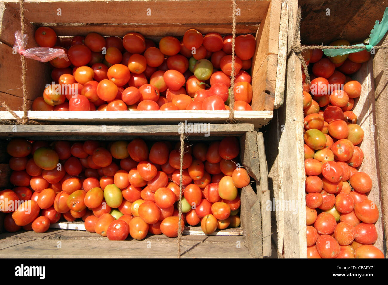 Crates of Tomatoes on sale at a market, Hikkaduwa, Sri Lanka Stock Photo