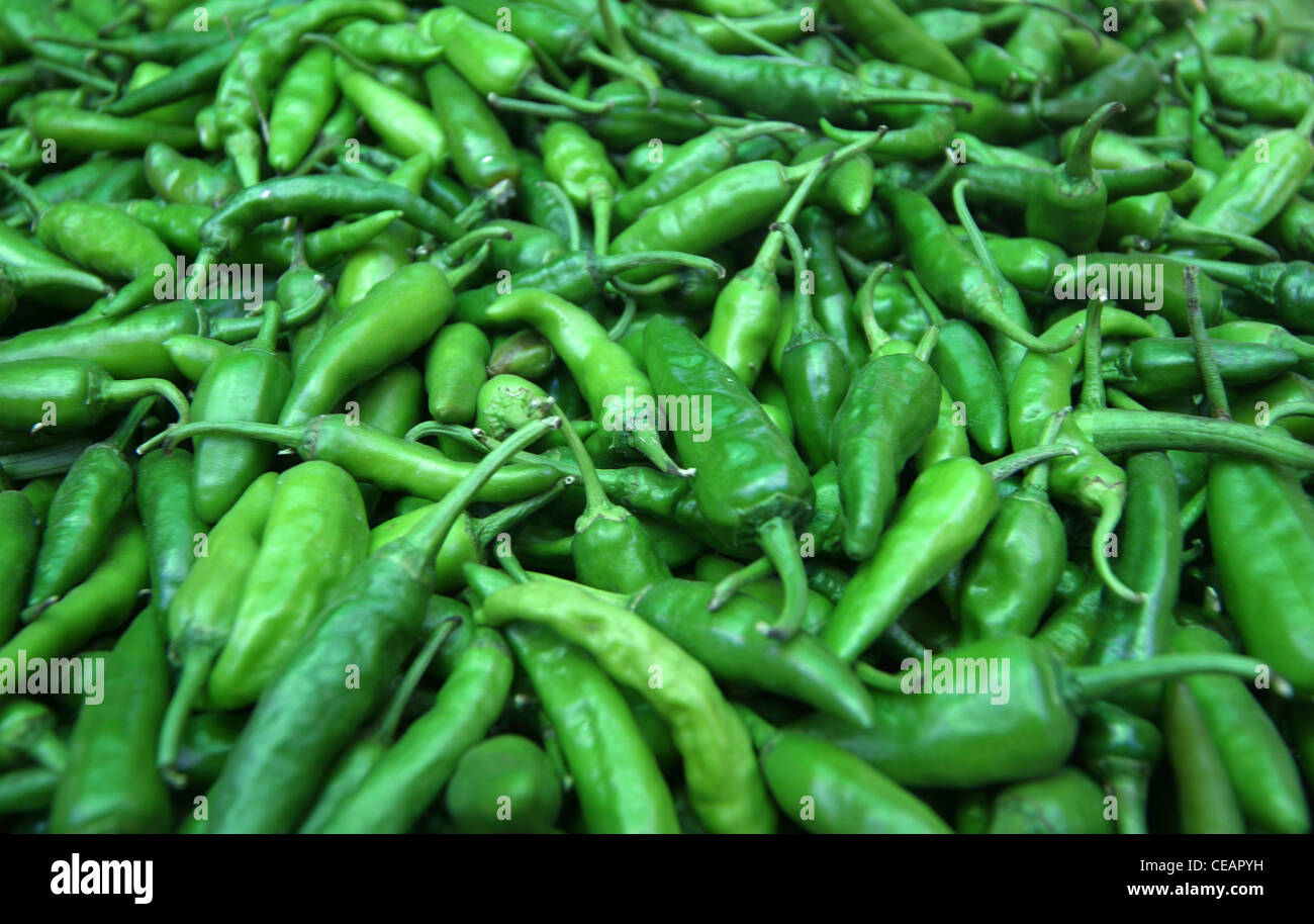 green chili chillis chillies pepper bell finger Stock Photo Alamy