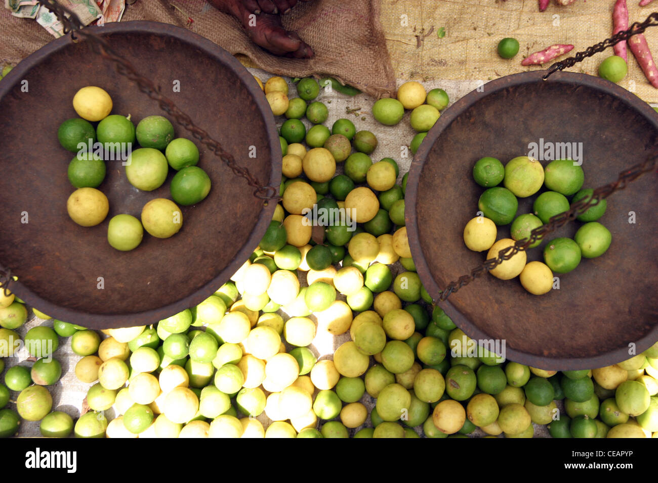 A set of weighing scales with lemons and limes, Hikkaduwa Market, Sri Lanka Stock Photo