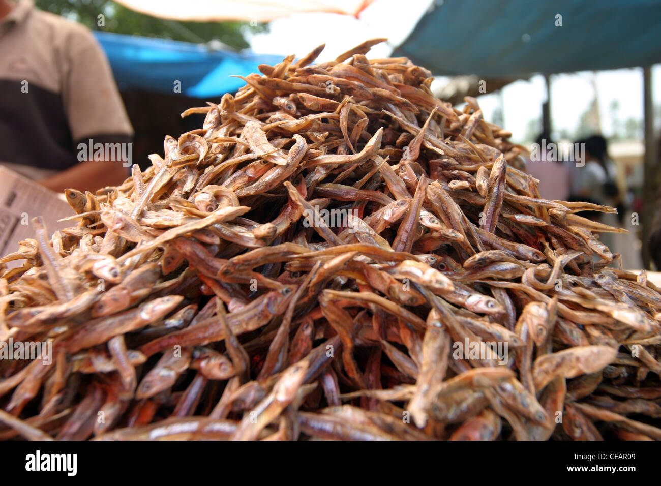 A pile of Dried Fish in a Sri Lankan outdoor market, Hikkaduwa Stock