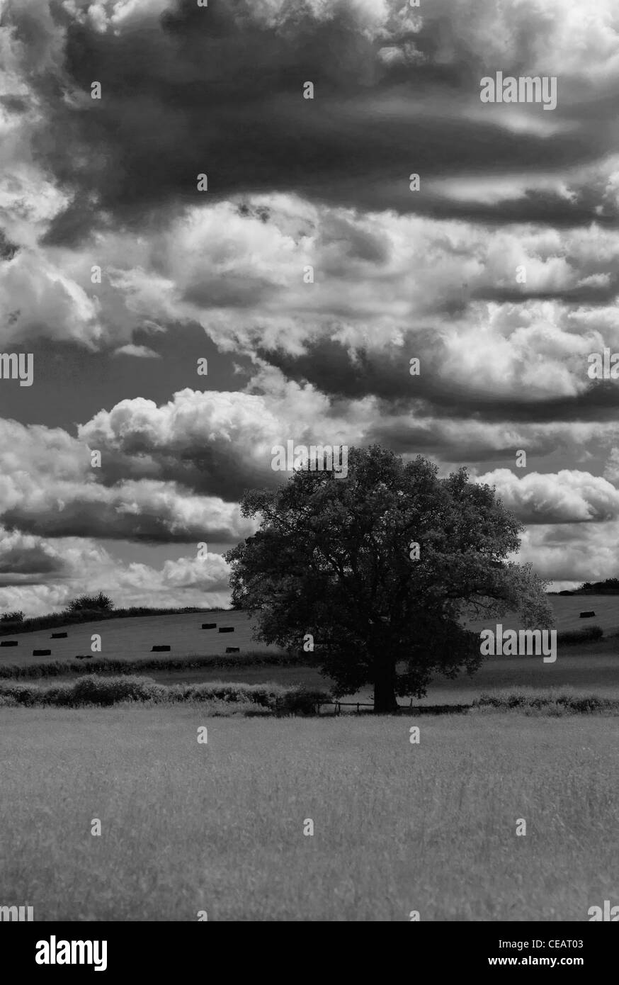 Empty park land Black and White Stock Photos & Images - Alamy
