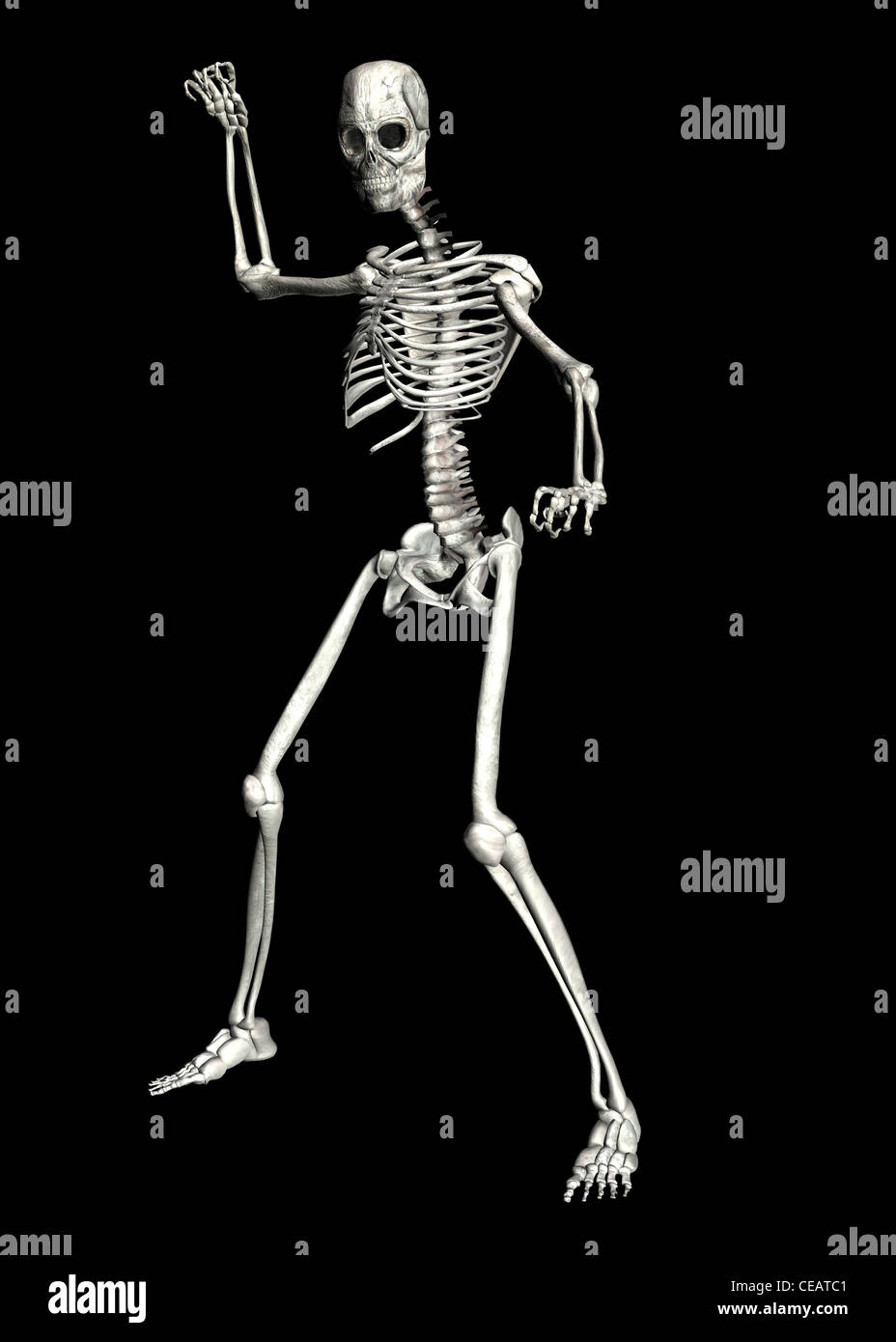Illustration of a skeleton isolated on a black background Stock Photo ...