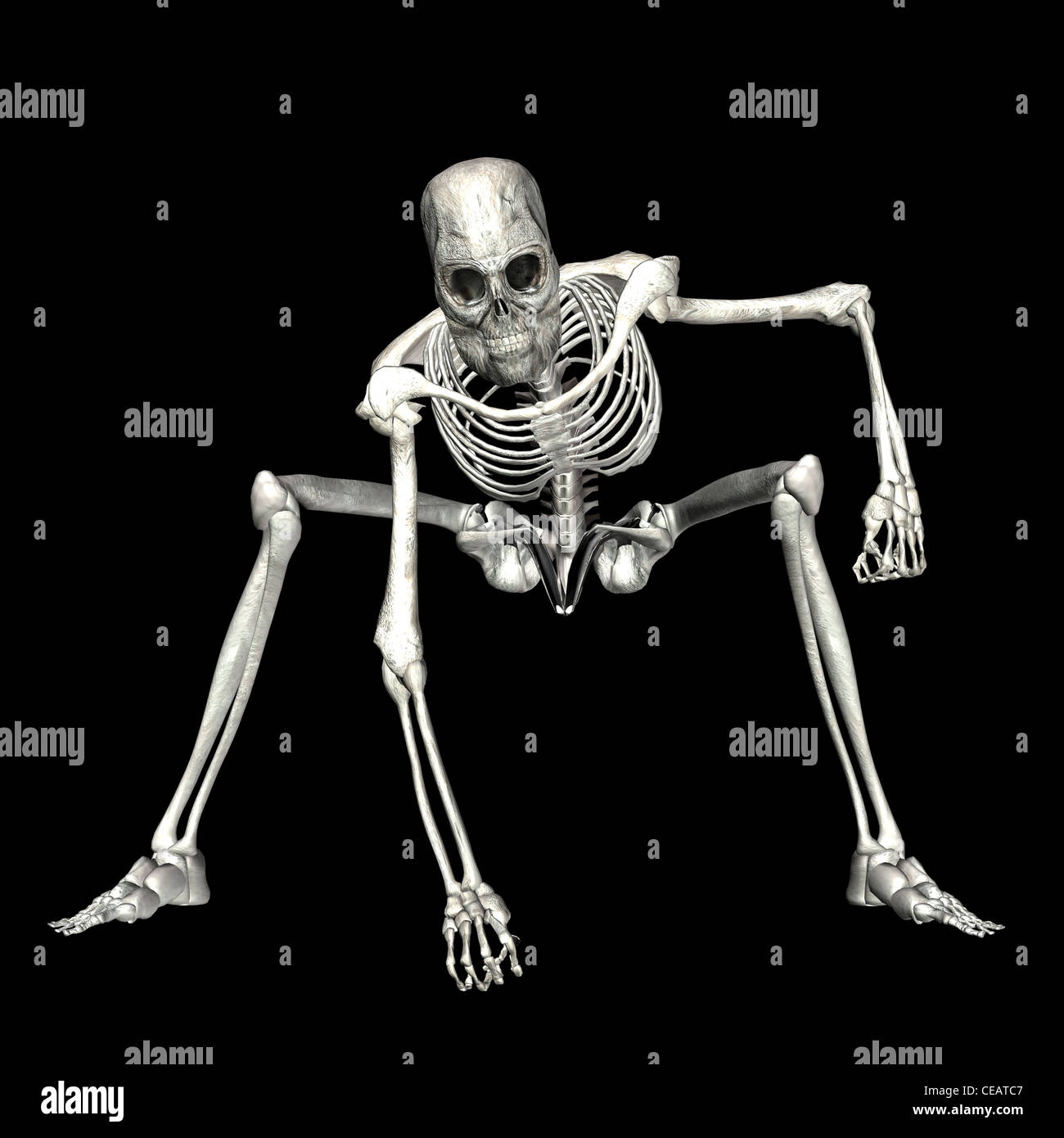 Illustration of a skeleton isolated on a black background Stock Photo - Alamy