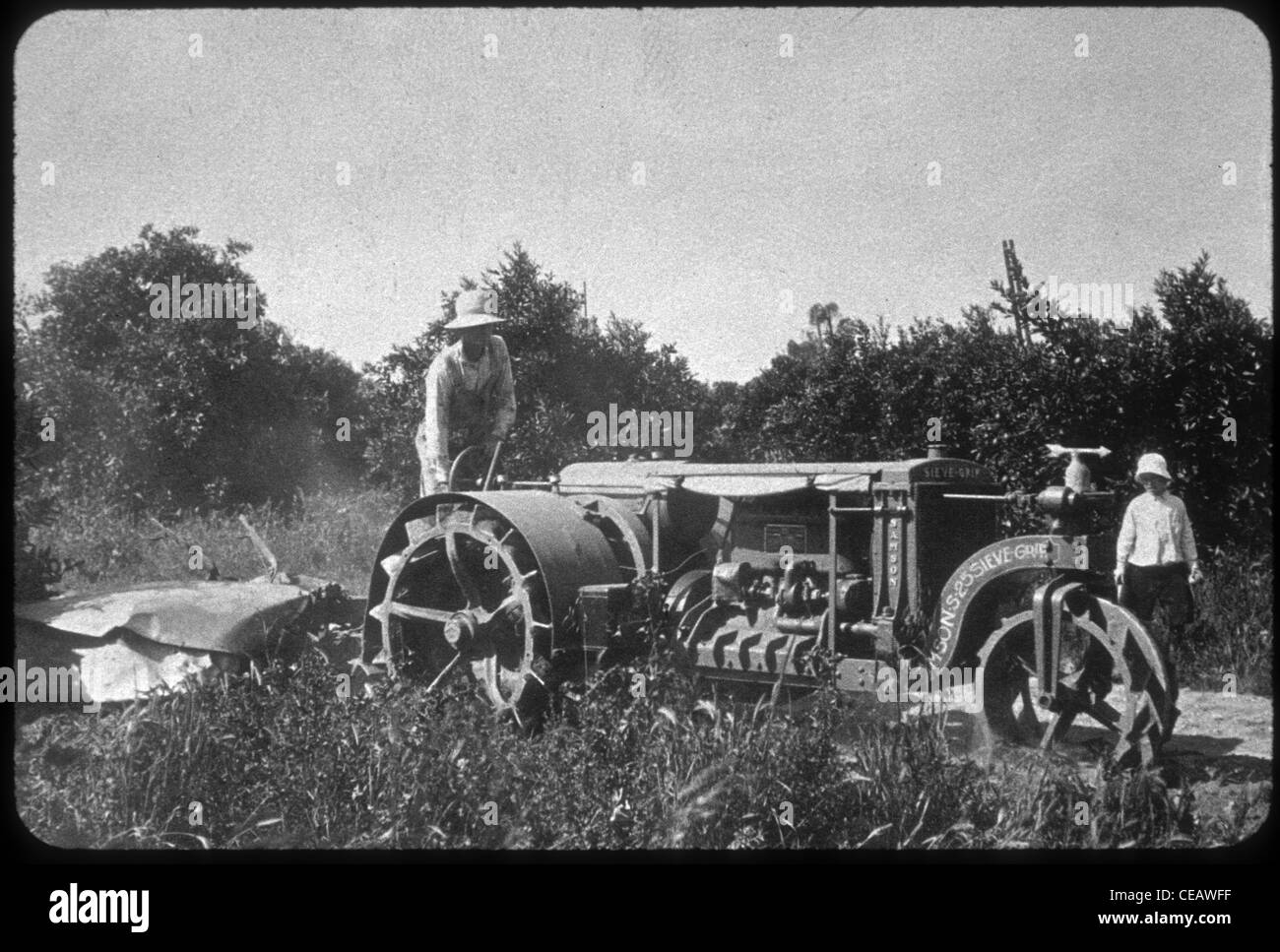 ORANGE GROVE Southern Calif FARM WORKERS Circa 1900 Photo Print 905 11" x 14" 
