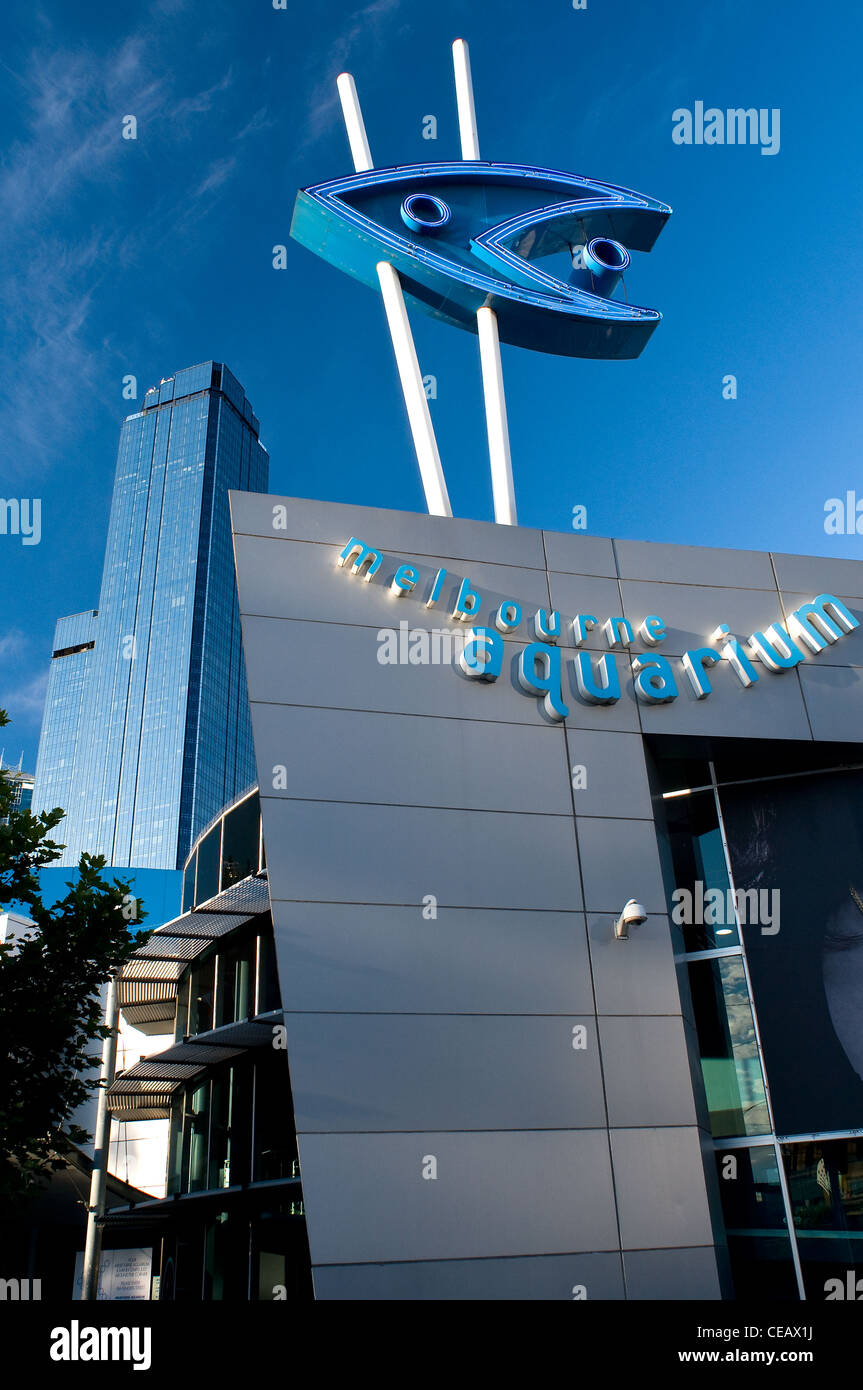 melbourne aquarium cbd victoria australia Stock Photo Alamy