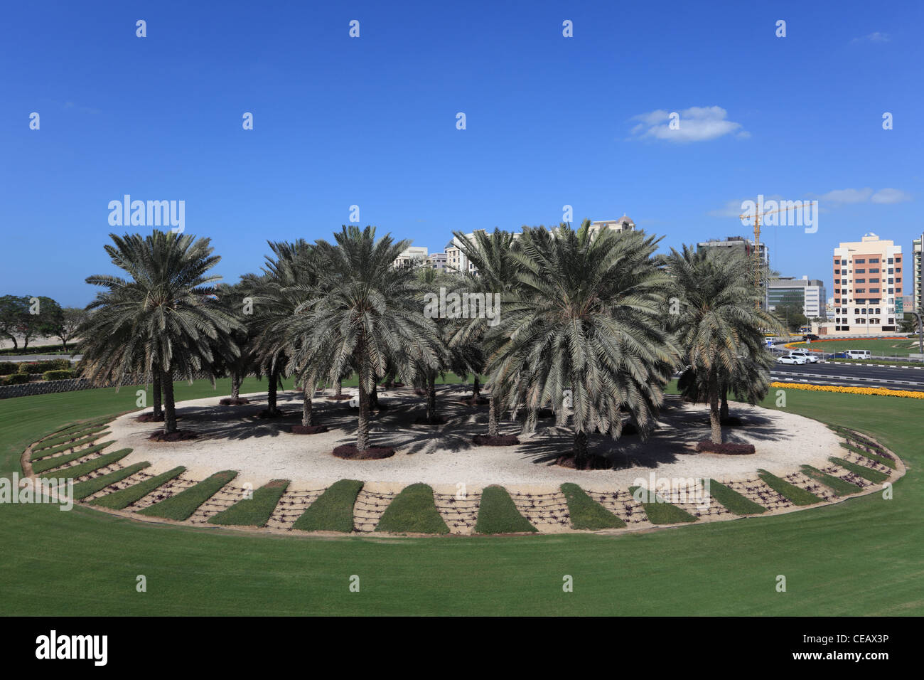 Palm Trees at a roundabout in Dubai, United Arab Emirates Stock Photo