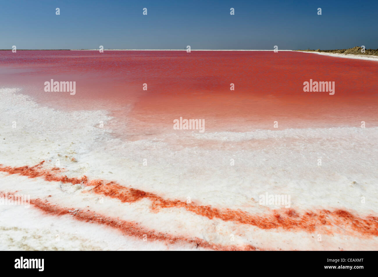 Red and white colors in a salt pan near Walvis Bay, Namibia Stock Photo ...
