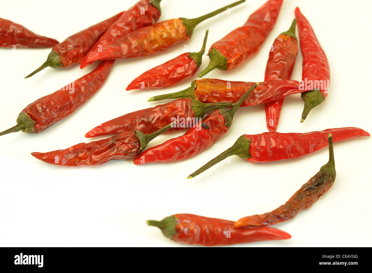 Birds eye chillies Stock Photo Alamy