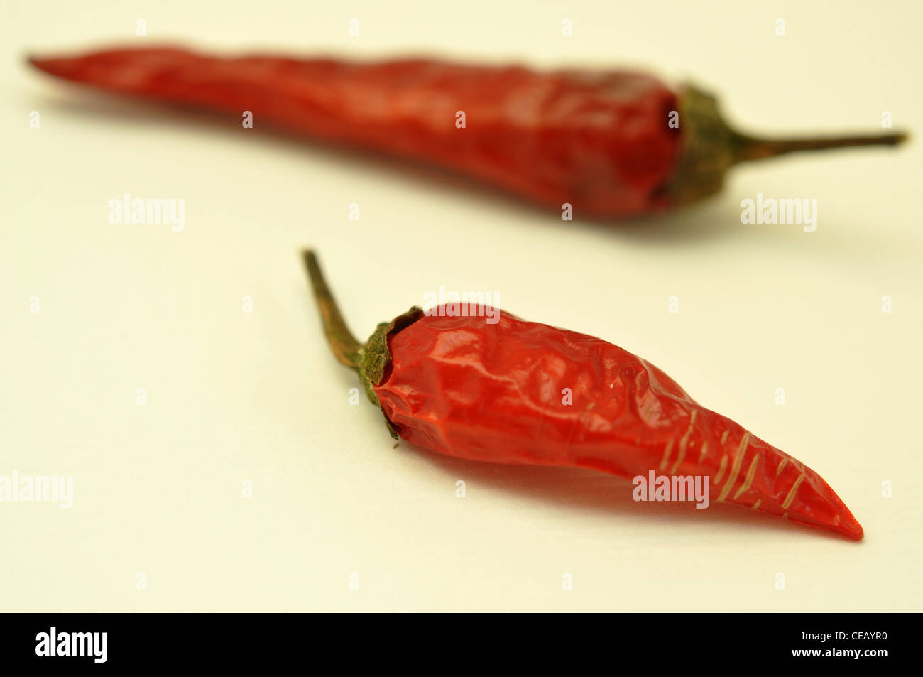 Birds eye chillies Stock Photo Alamy