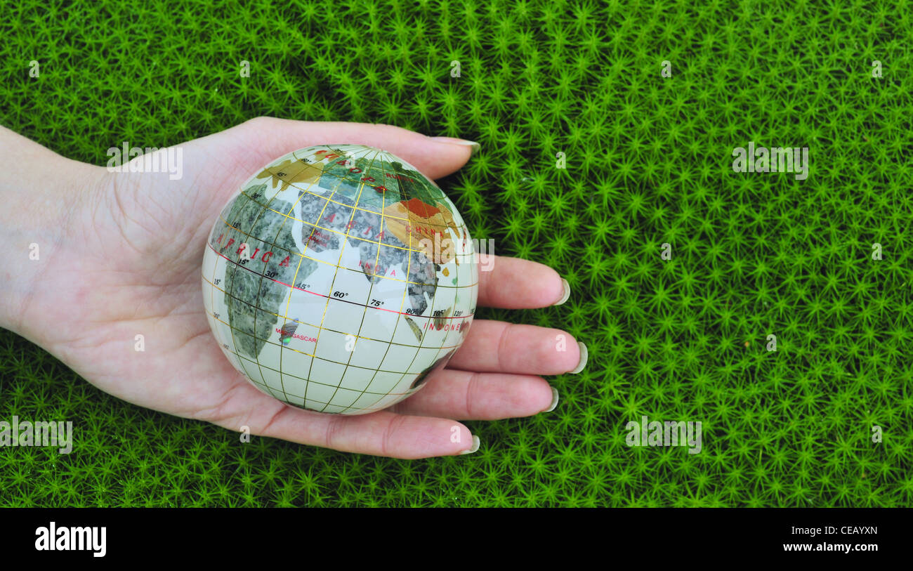 Save the world. Earth globe in a palm hands on green moss background. Stock Photo