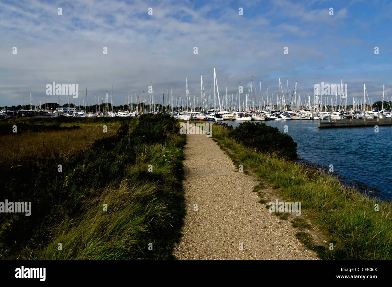 views from the solent way footpath new forest national park lymington ...