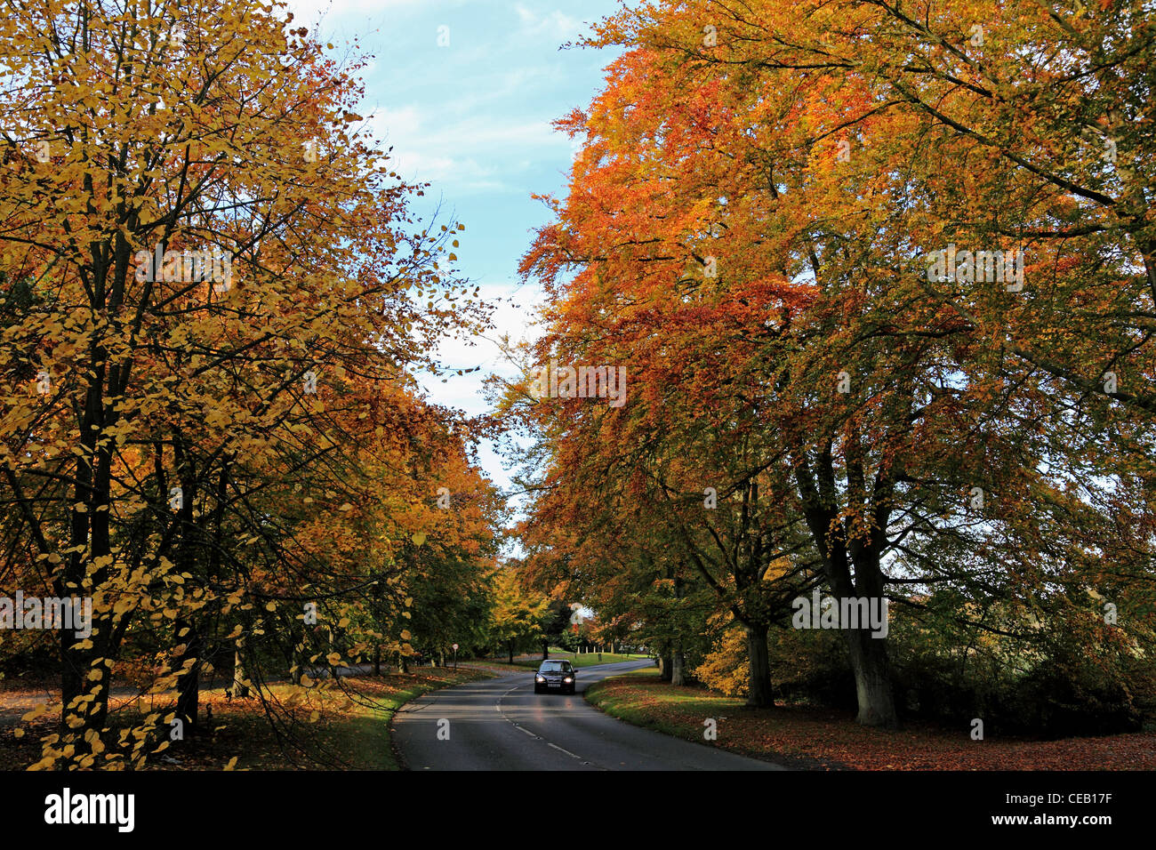 3435. Autumn Colour, Barham, Elham Valley, Kent, UK Stock Photo Alamy