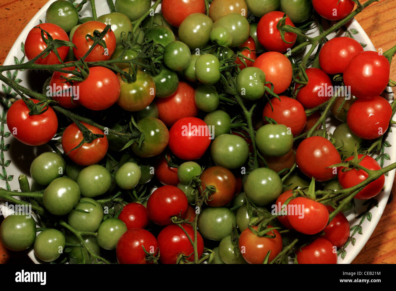 Gardeners delight tomatoes hires stock photography and images Alamy