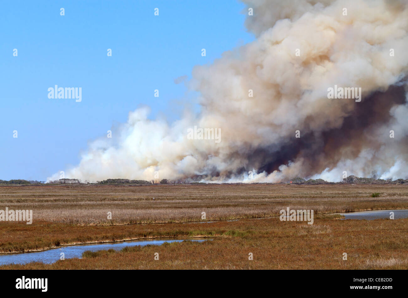 Prescribed burn on marshland of Aransas National Wildlife Refuge, Texas. Stock Photo
