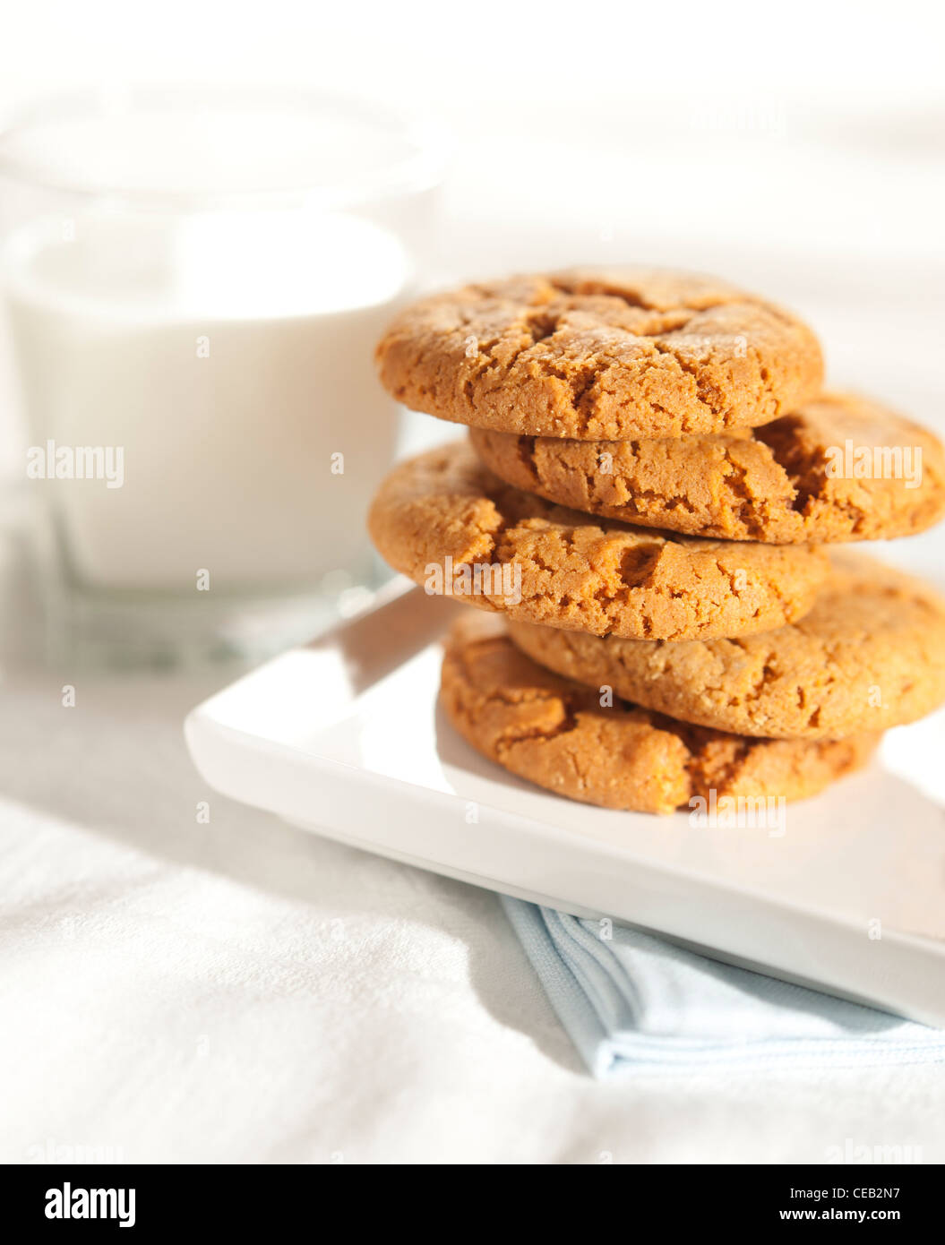 Ginger snap cookies (biscuits) served with a glass of milk on white table-ware. Stock Photo