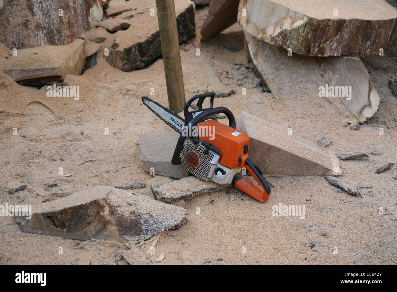a chainsaw waiting to be used Stock Photo