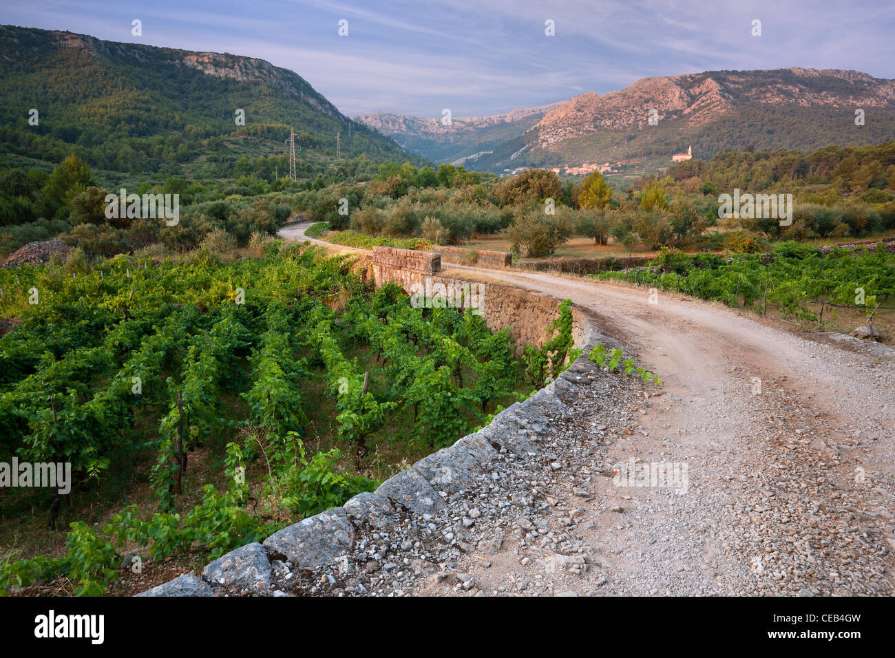 Pitve Old road to village Pitve, island Hvar, Dalmatia, Croatia Stock Photo ...