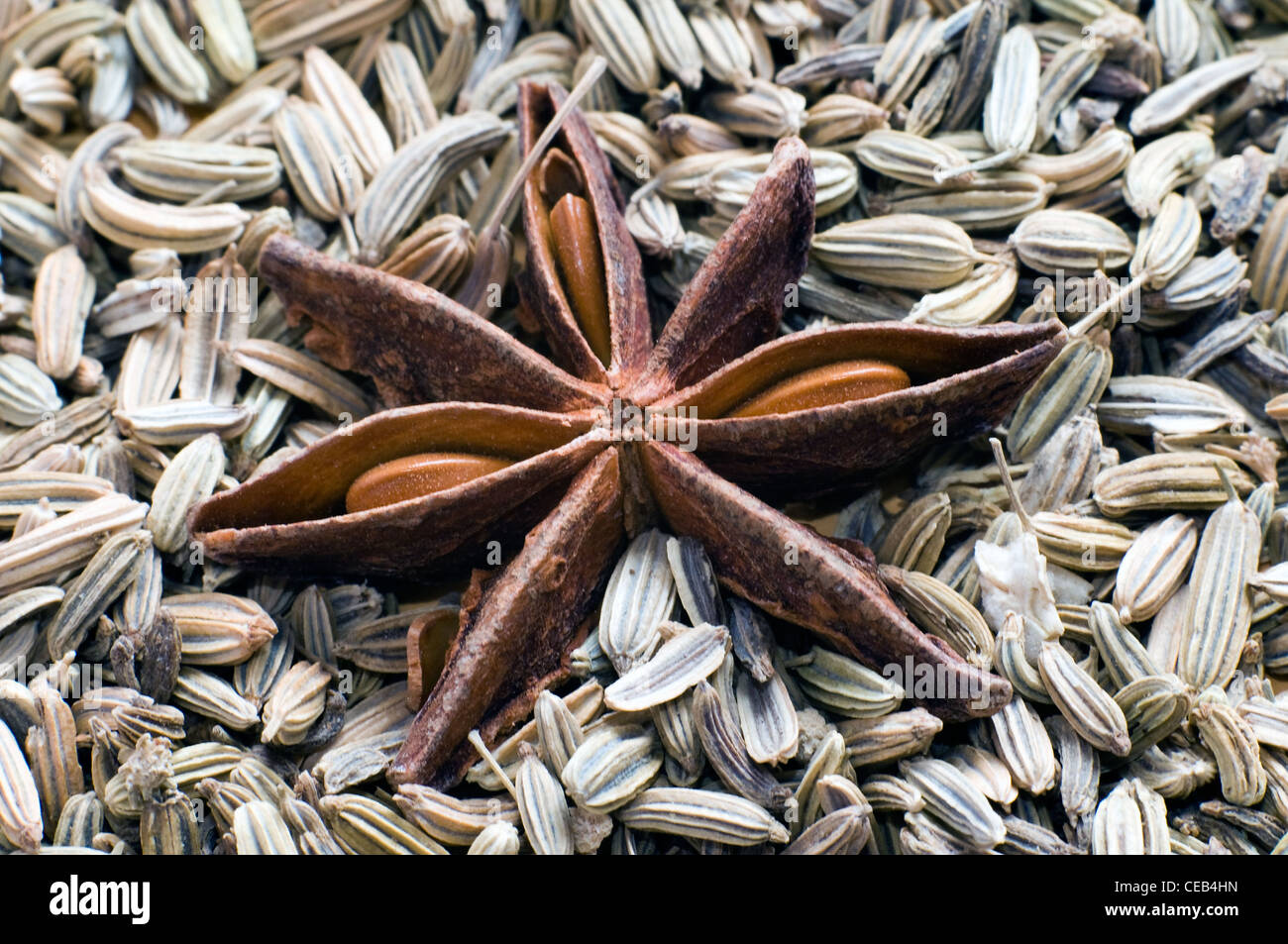 Star anise and anise seeds Stock Photo Alamy