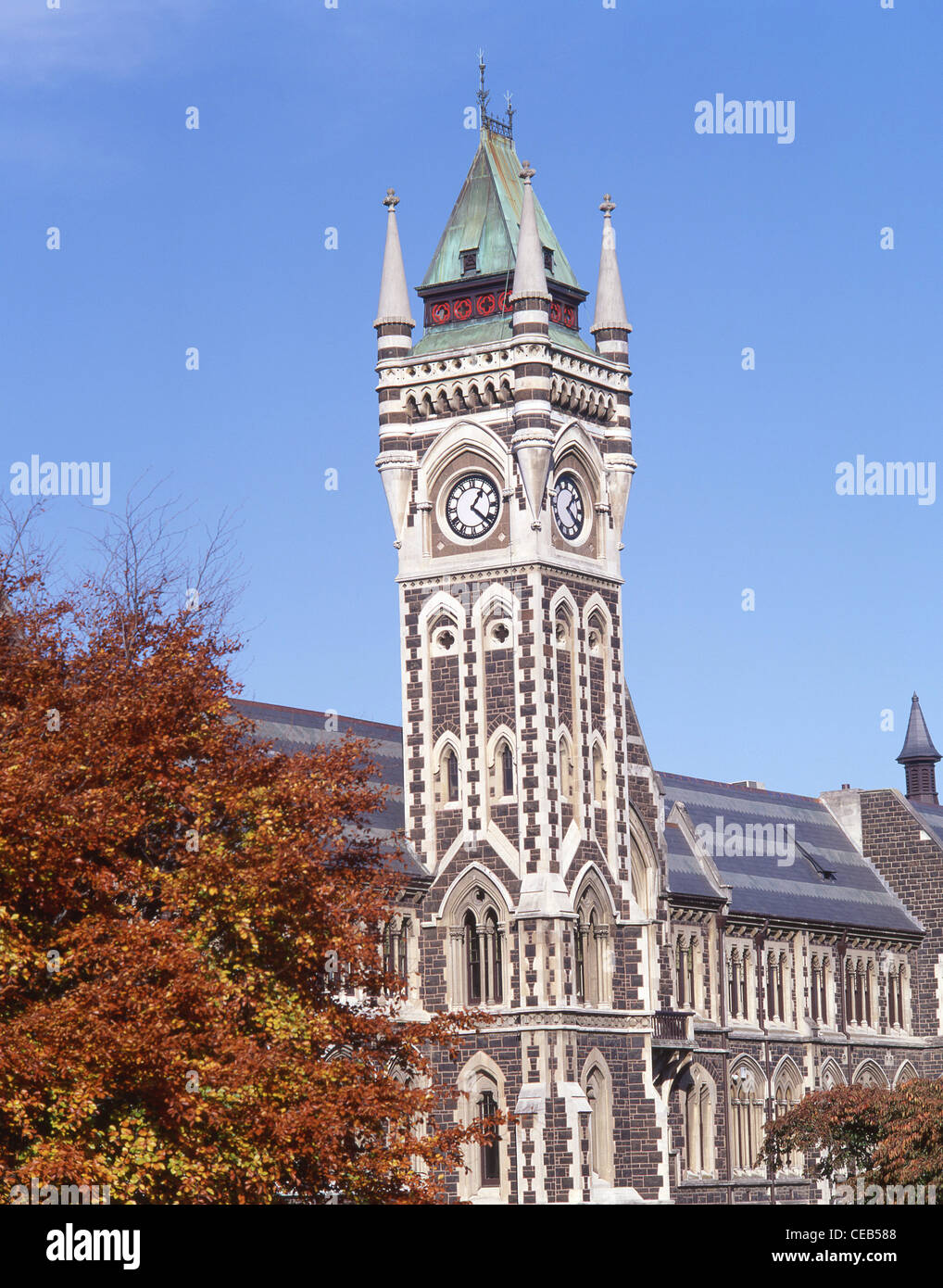 University Clocktower, University of Otago, Dunedin, Otago Region, South Island, New Zealand Stock Photo