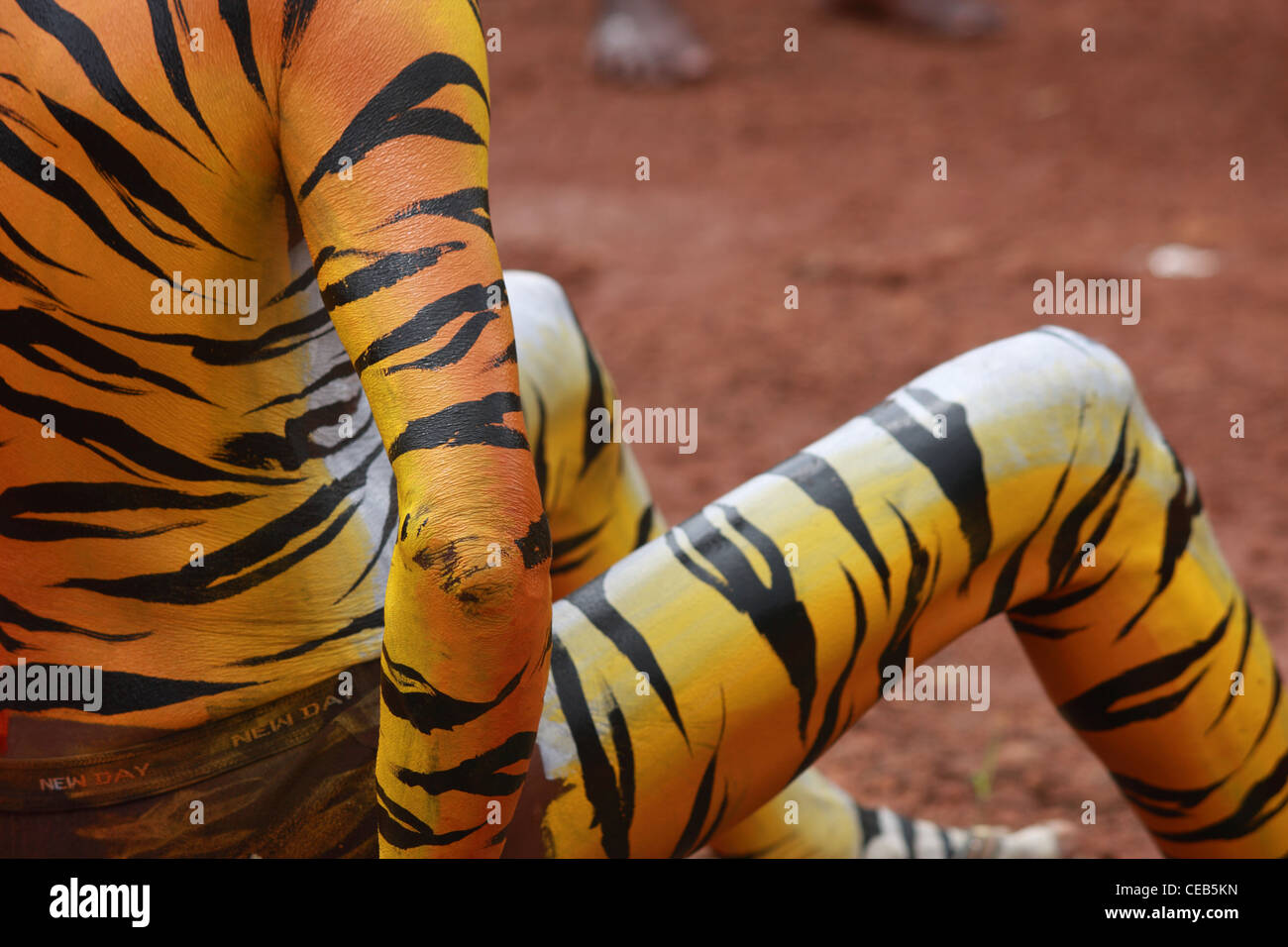 Pulikali, Thrissur, Kerala Stock Photo Alamy
