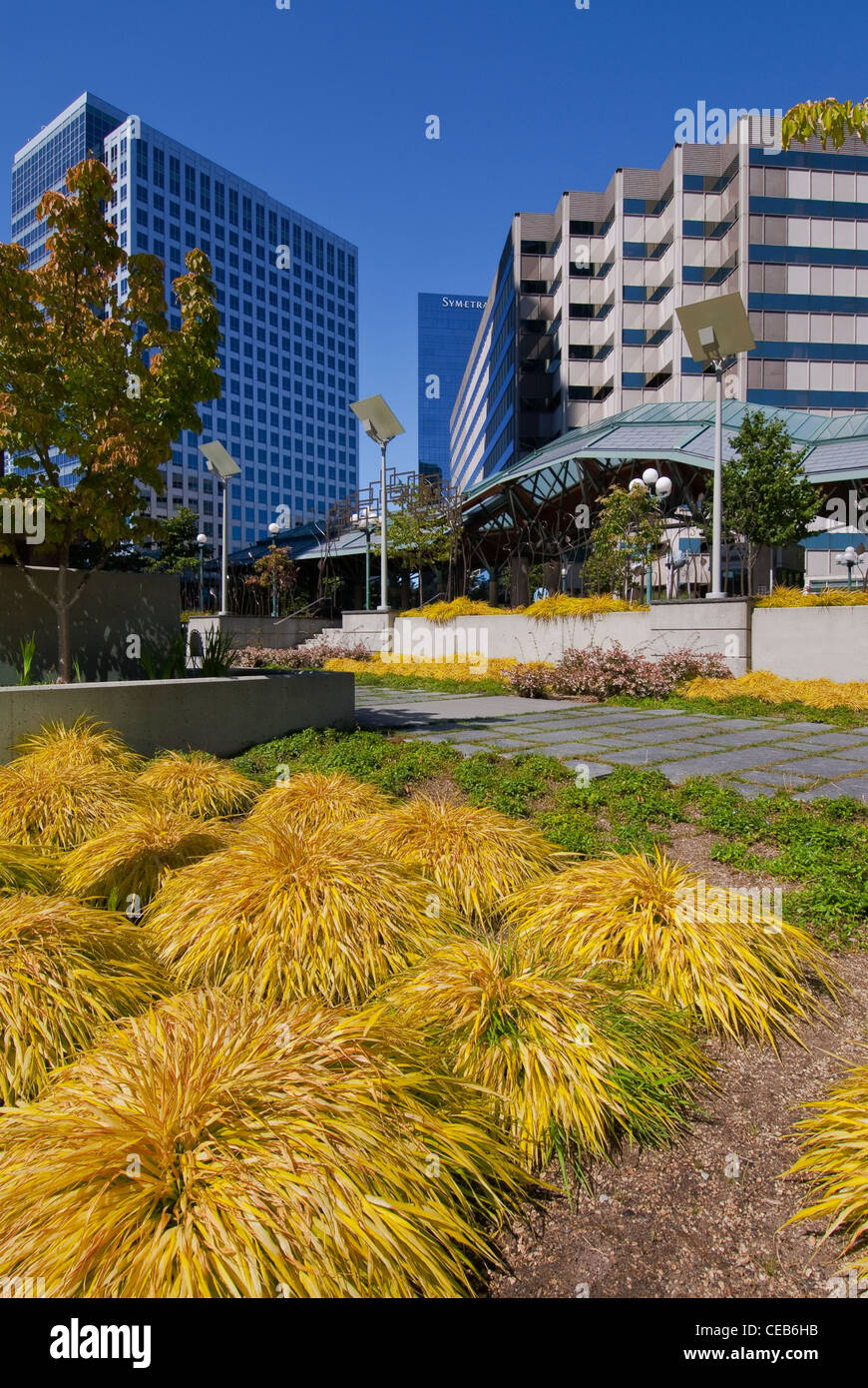Downtown Office Buildings And Bellevue Transit Center Bellevue