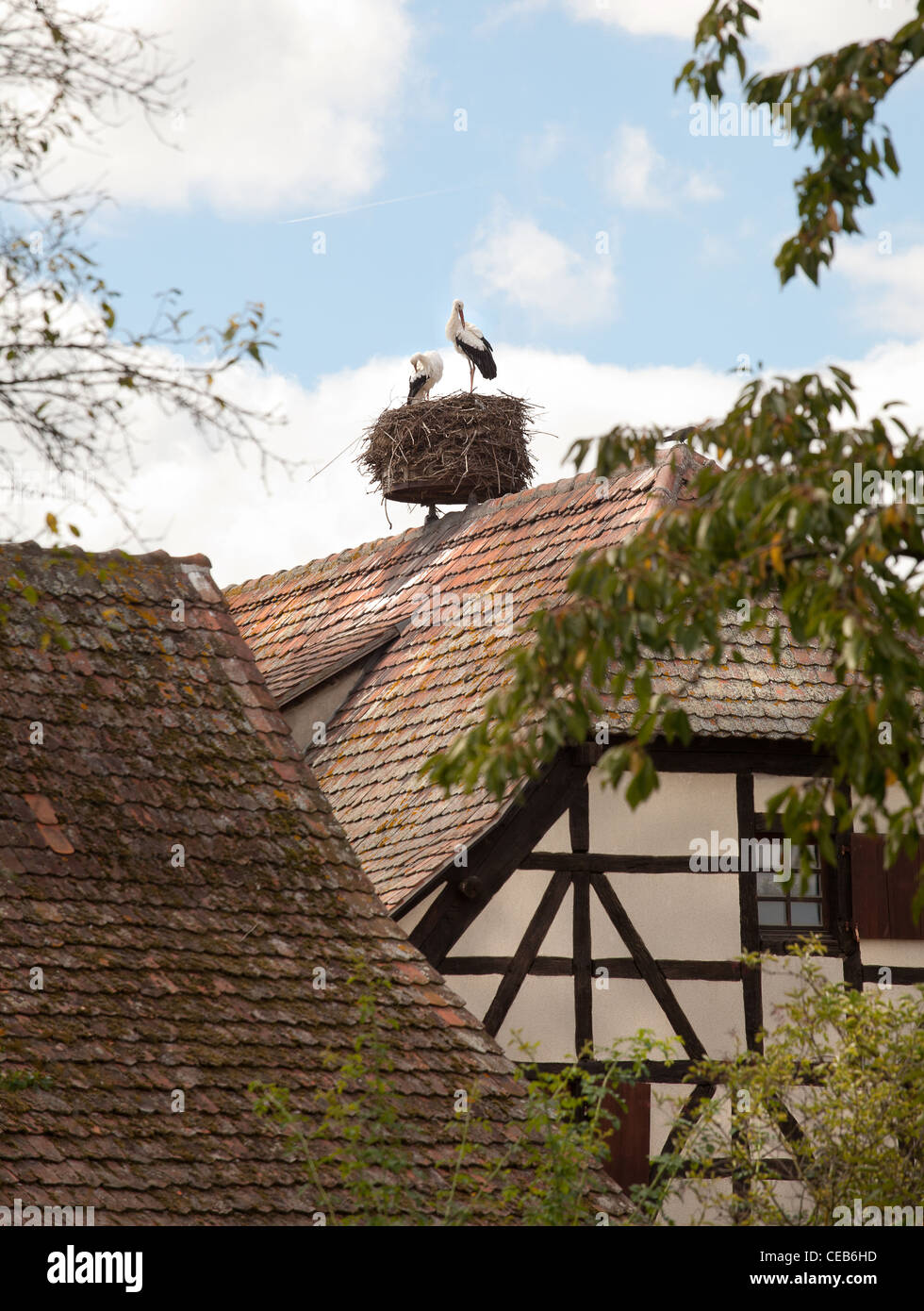 Half timber framed traditional buildings in Ungersheim eco museum, Alsace, France Stock Photo