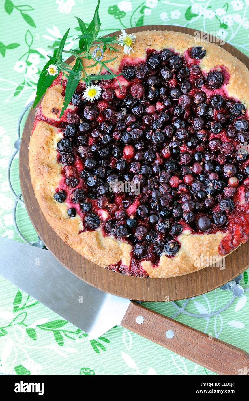 Black currant pie hi-res stock photography and images - Alamy
