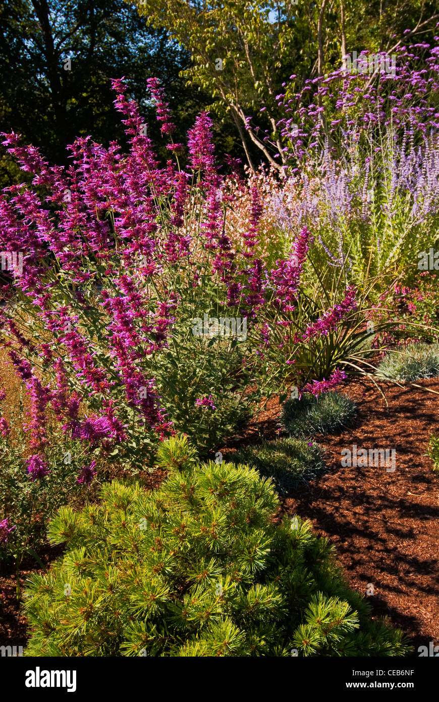 Bellevue Botanical Garden Bellevue Washington Usa Stock Photo