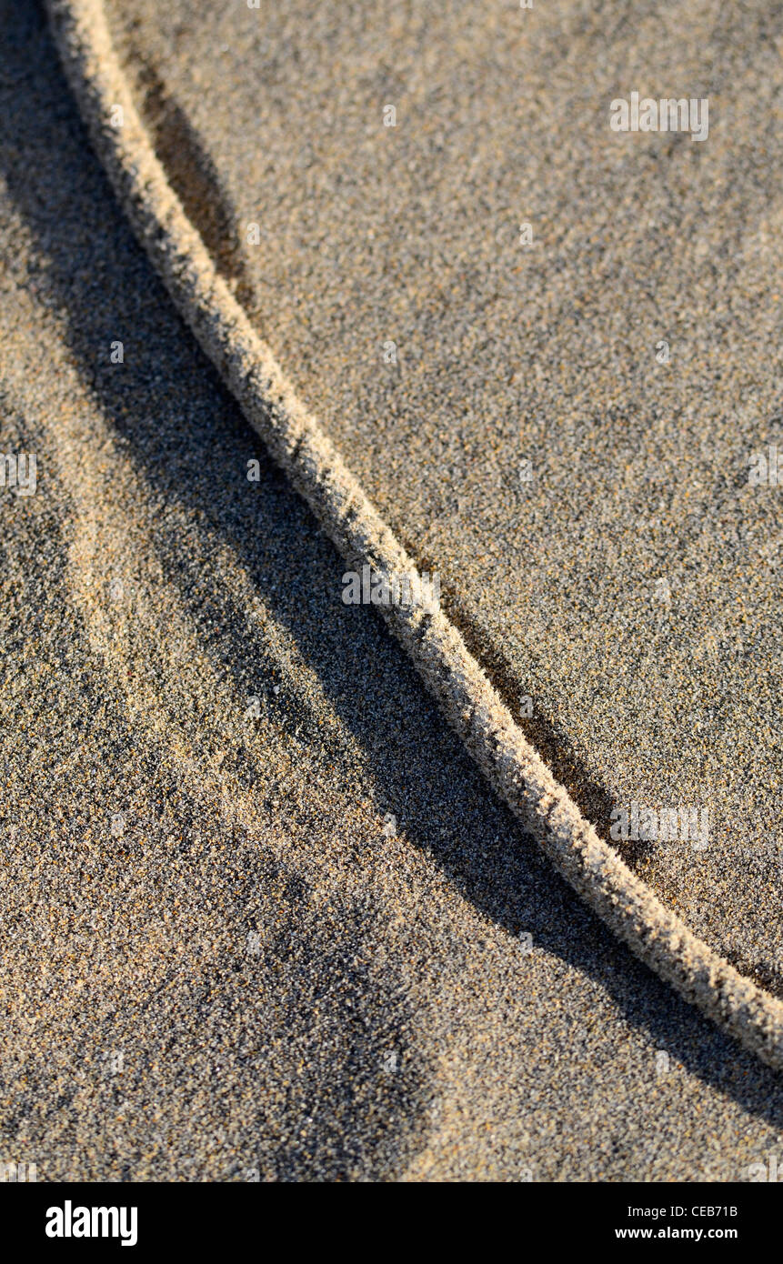 old rope on sandy beach Stock Photo
