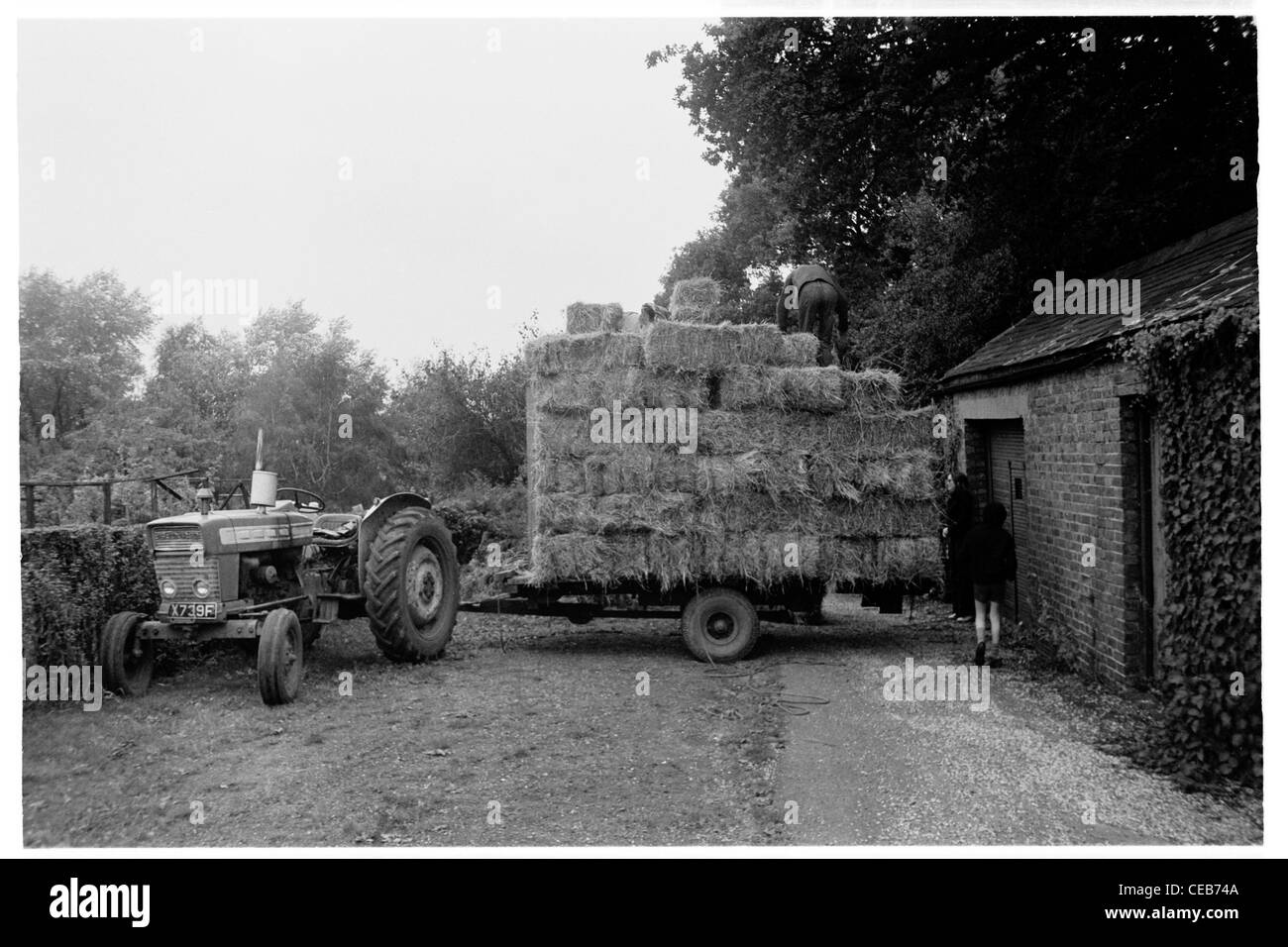 unloading hay bales at Tower House, The Ridgeway, Enfield Stock Photo