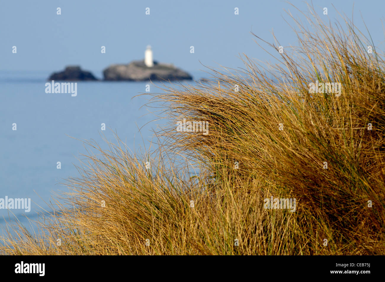 Dune grass with lighthouse on island Stock Photo