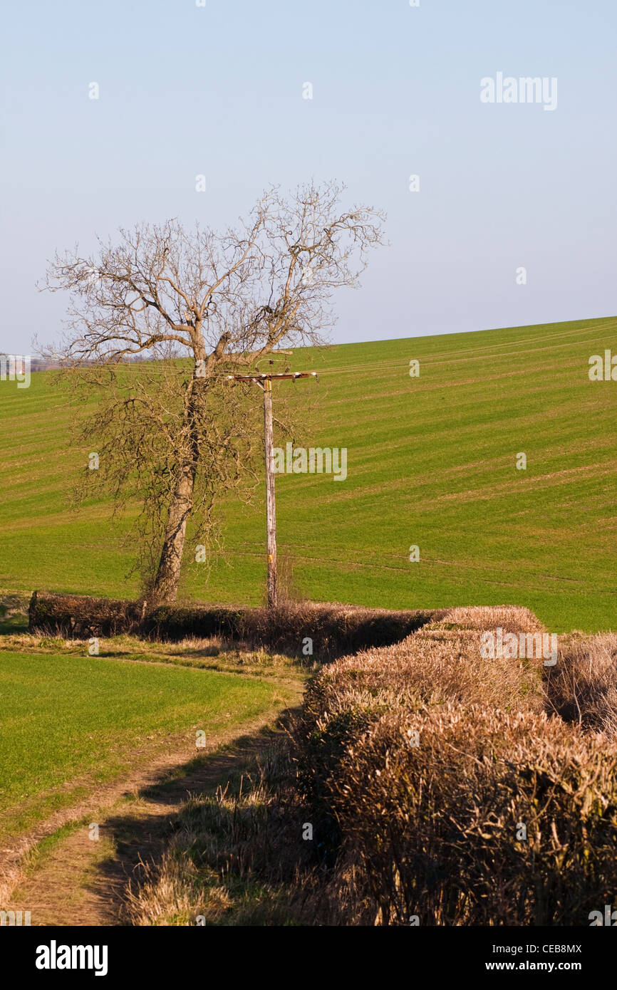 Amersham Stock Photo