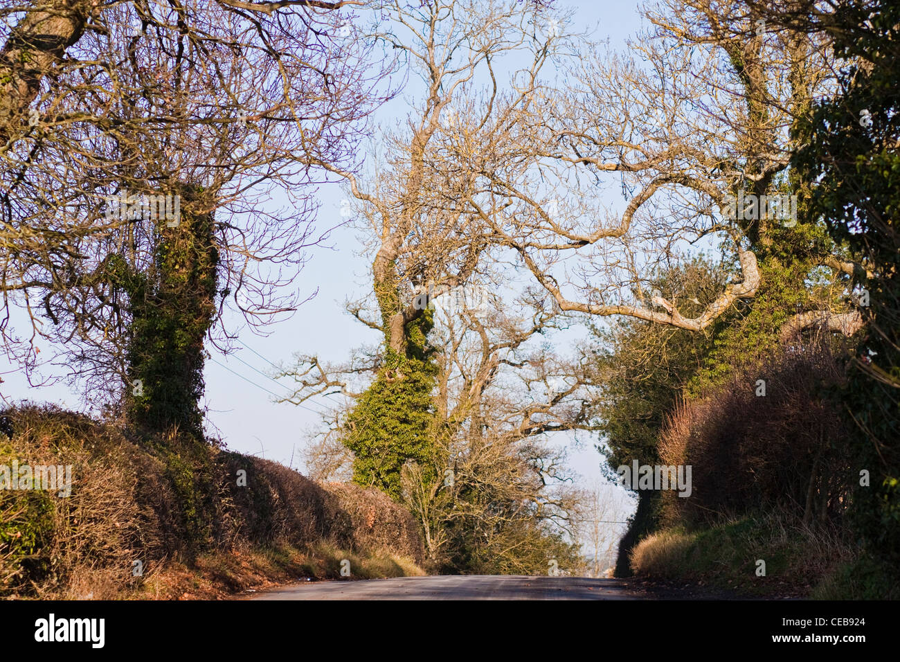 Coleshill Stock Photo Alamy