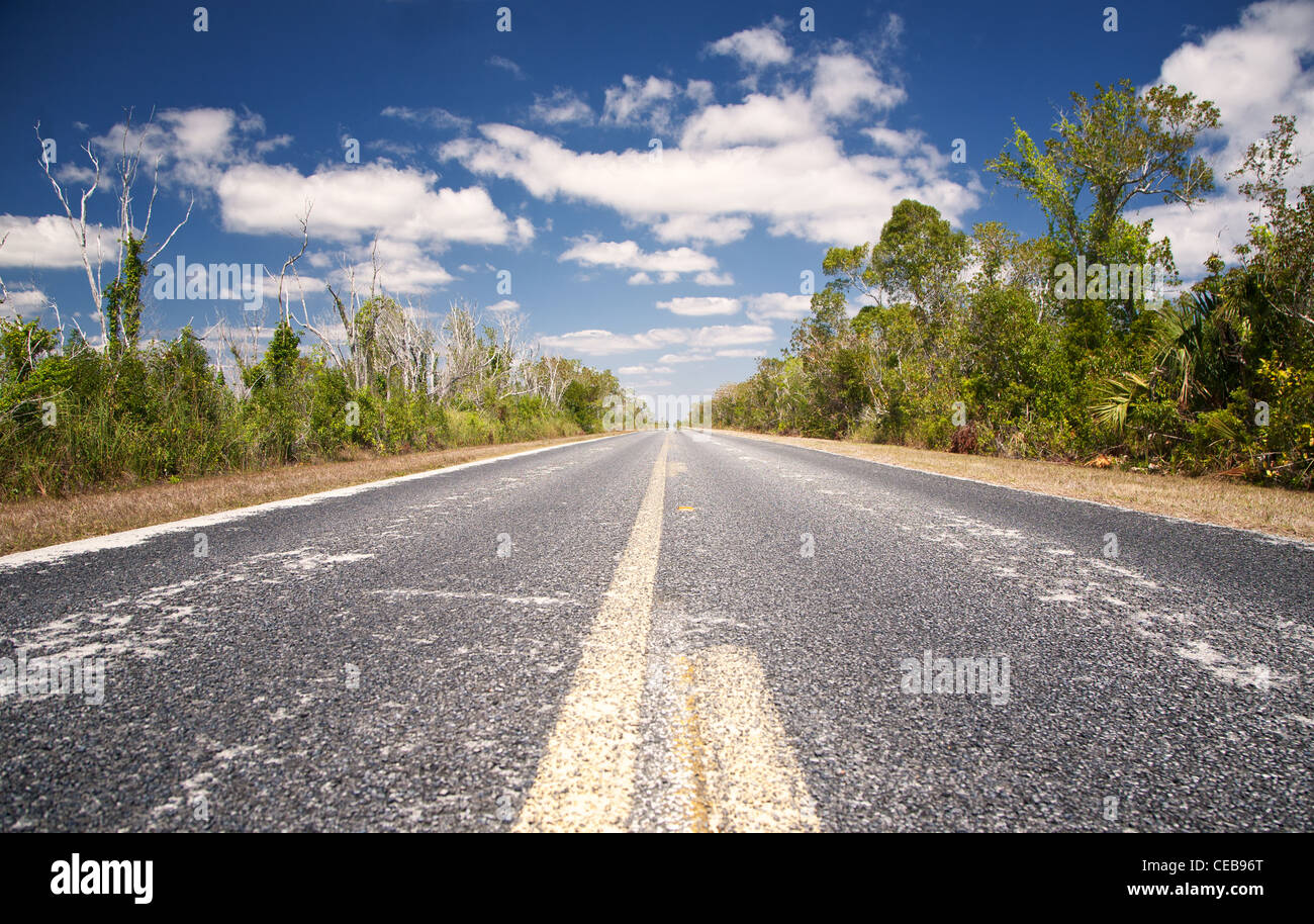 Florida state road 9336 through the Florida Everglades Stock Photo