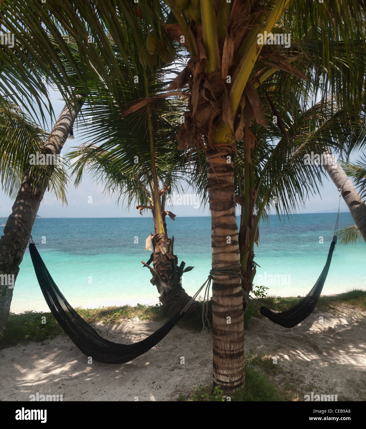 Empty sky tropical coast beach hi-res stock photography and images - Alamy