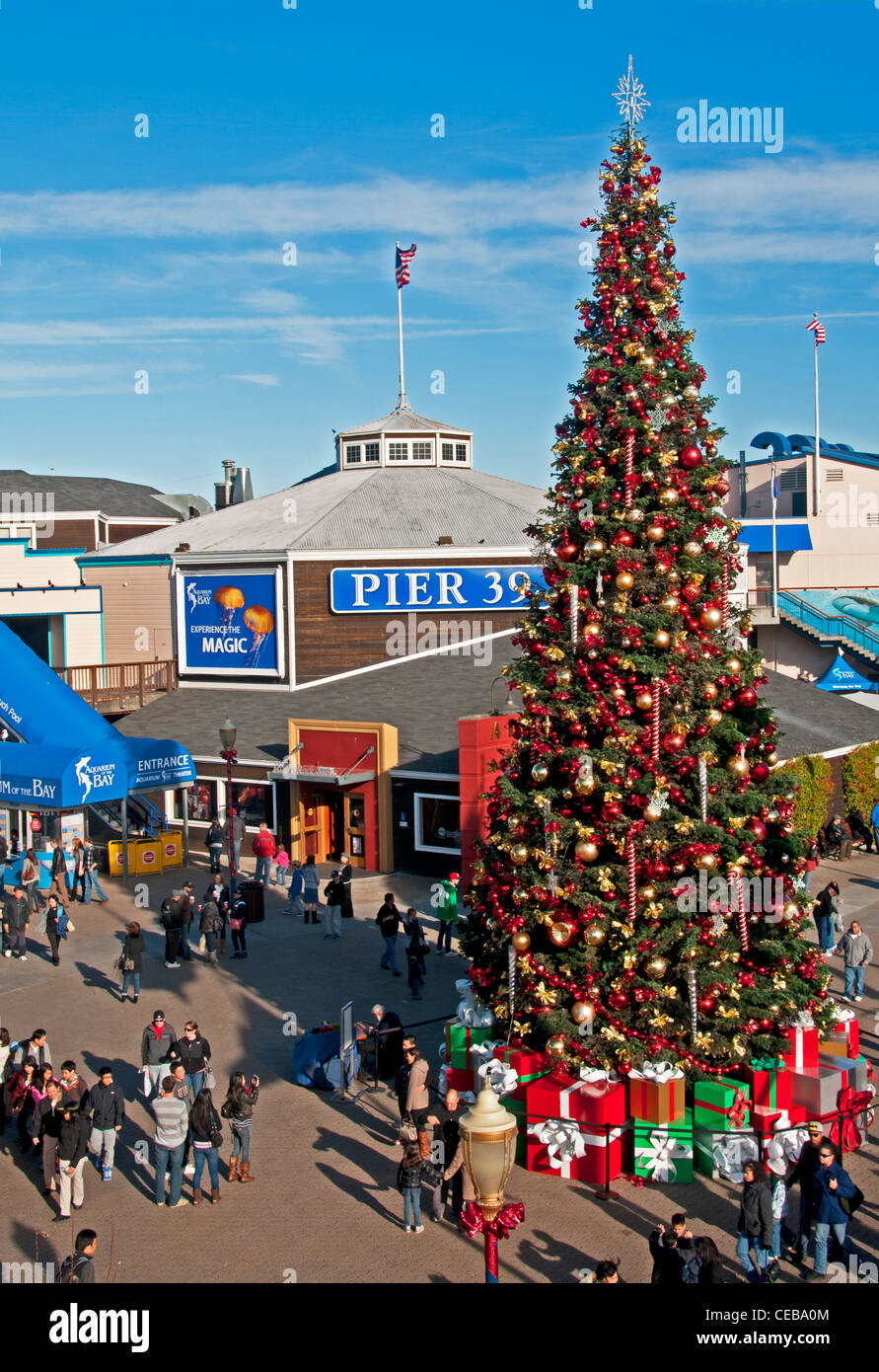 Christmas tree and  holiday decor at Pier 39, San Francisco, California Stock Photo