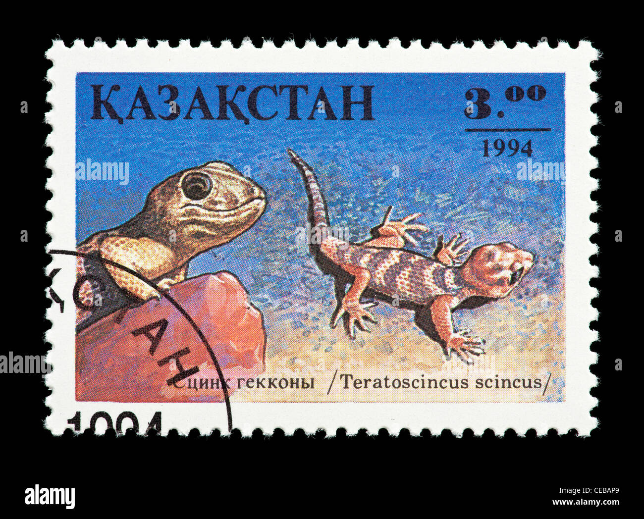 Postage stamp from Kazakhstan depicting a small lizard (Teratoscincus scincus) Stock Photo