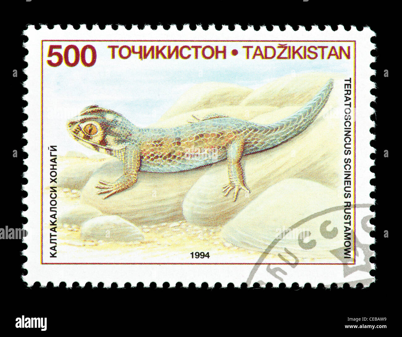 Postage stamp from Tajikistan depicting a small lizard (Teratoscincus scineus) Stock Photo