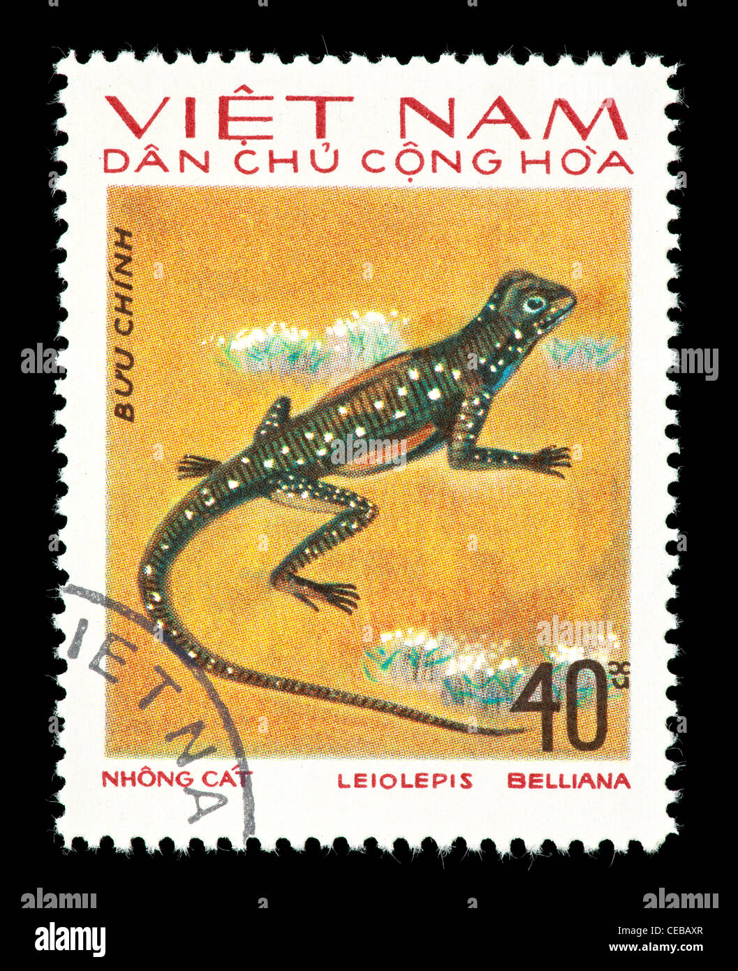 Postage stamp from Vietnam depicting a common spotted butterfly lizard (Leiolepis belliana) Stock Photo