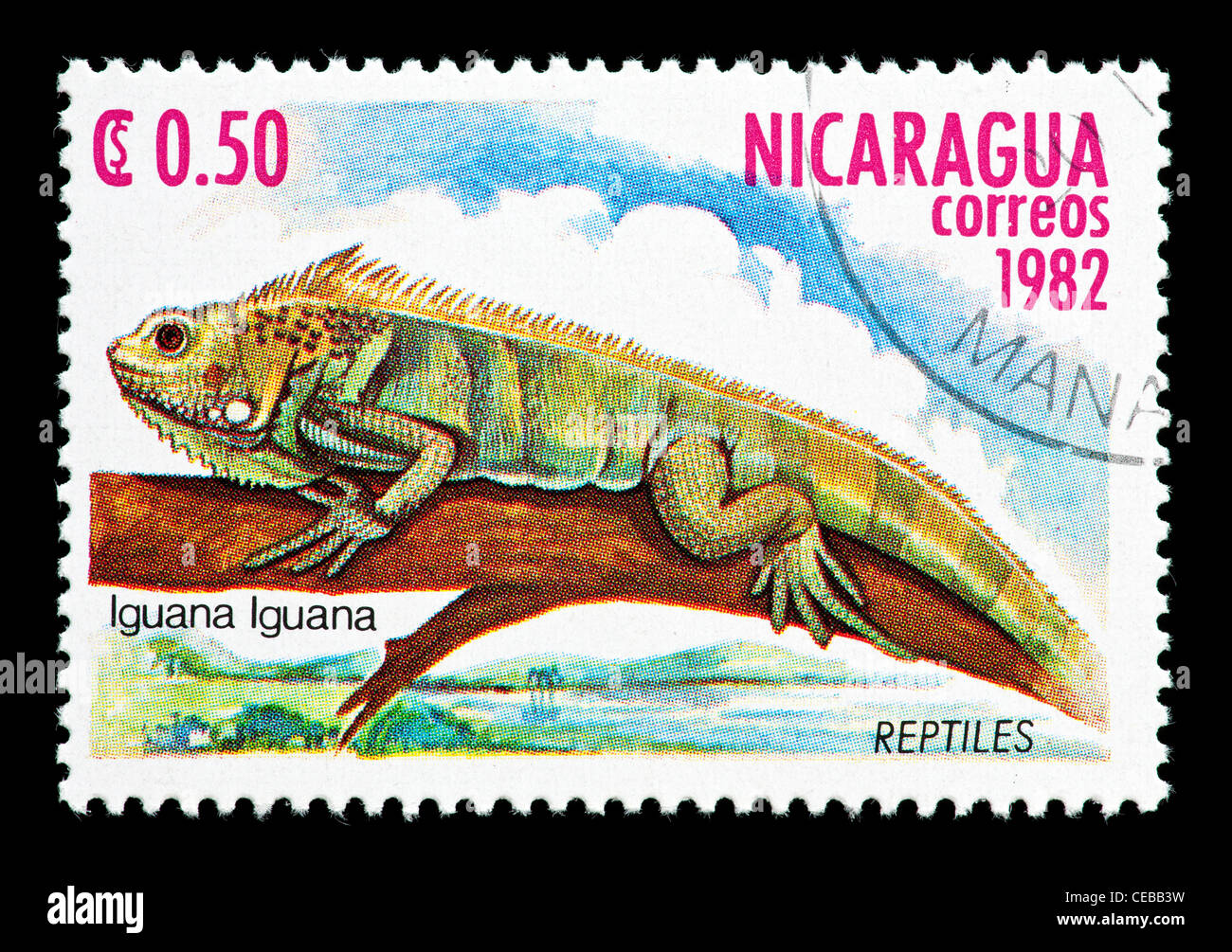 Postage stamp from Nicaragua depicting an iguana Stock Photo - Alamy