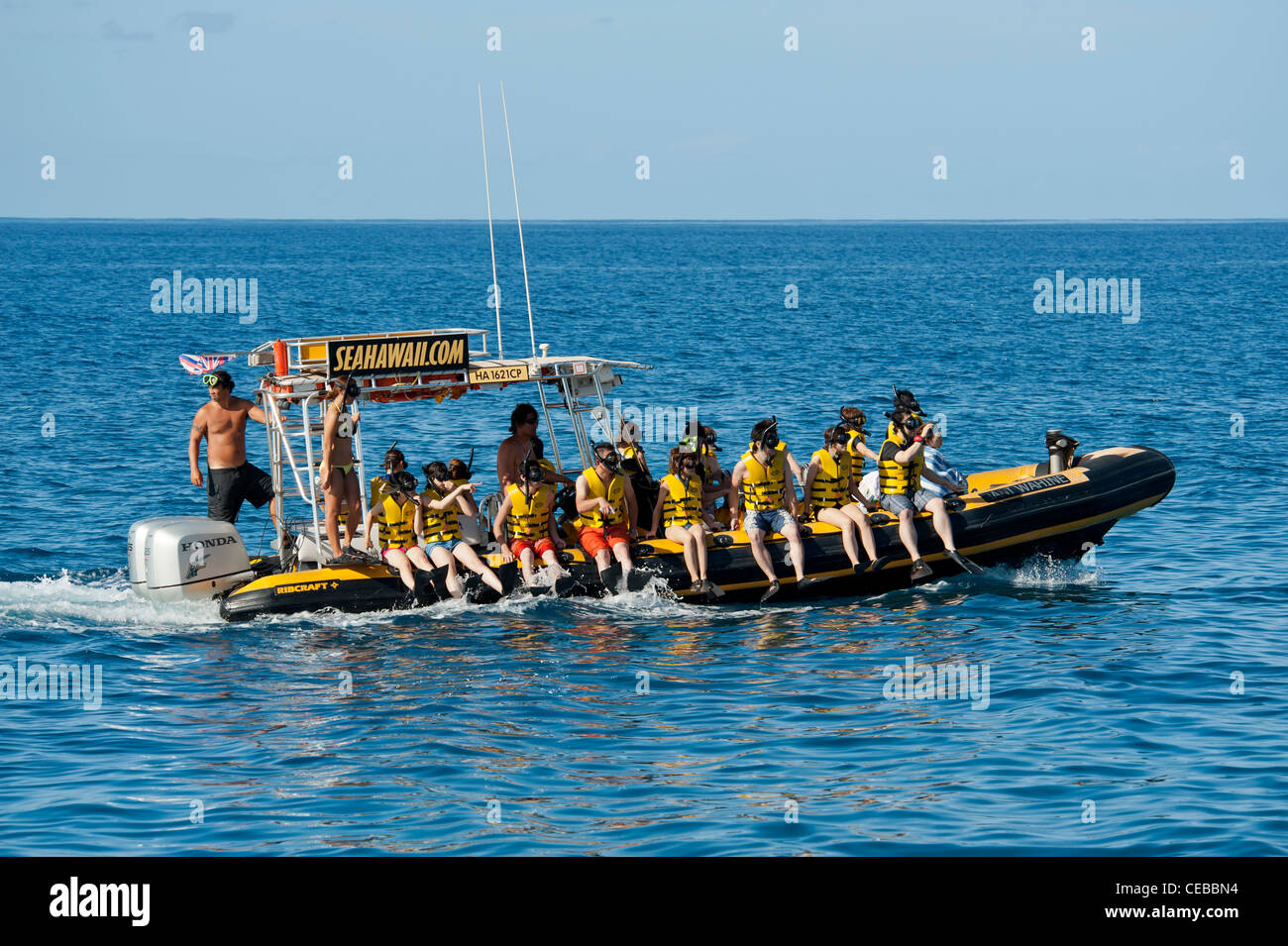 Spinner dolphins hires stock photography and images Alamy