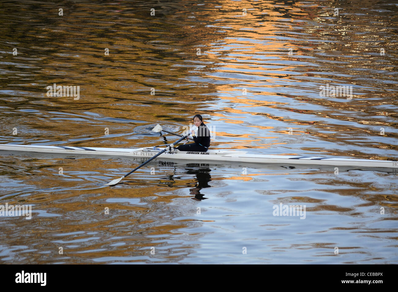 female rower rowing river ouse york england uk Stock Photo Alamy