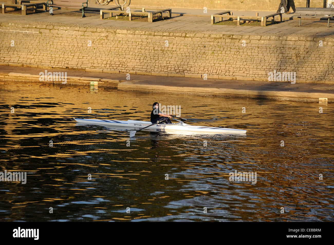 female rower rowing river ouse york england uk Stock Photo Alamy
