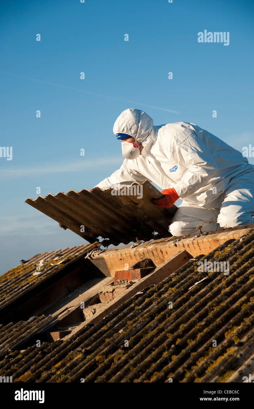 A workman wearing protective clothing and facemask removing asbestos roof tiles from a public shelter, Aberaeron, Wales UK Stock Photo