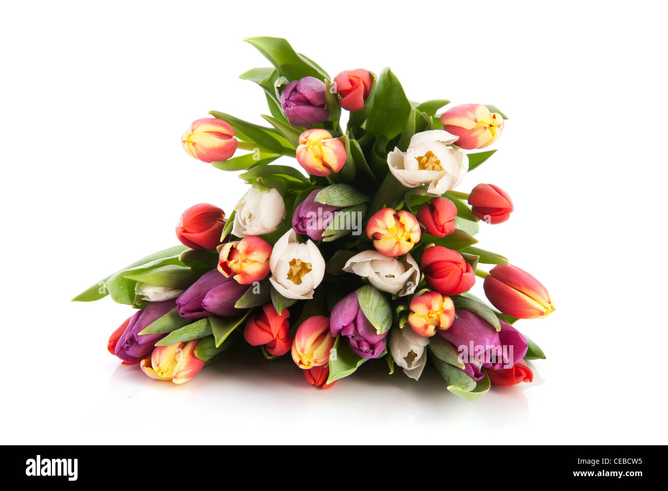 Beautiful bouquet with colorful tulips isolated over white background ...