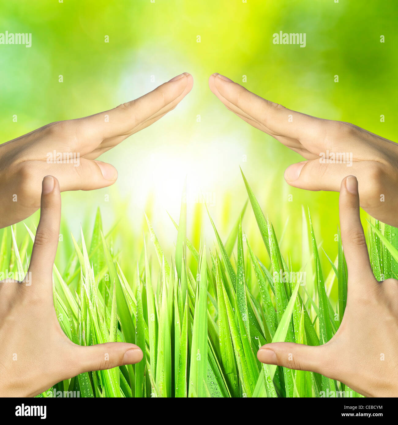 Hands showing symbolic house. With abstract sunny bokeh. Square composition. Stock Photo