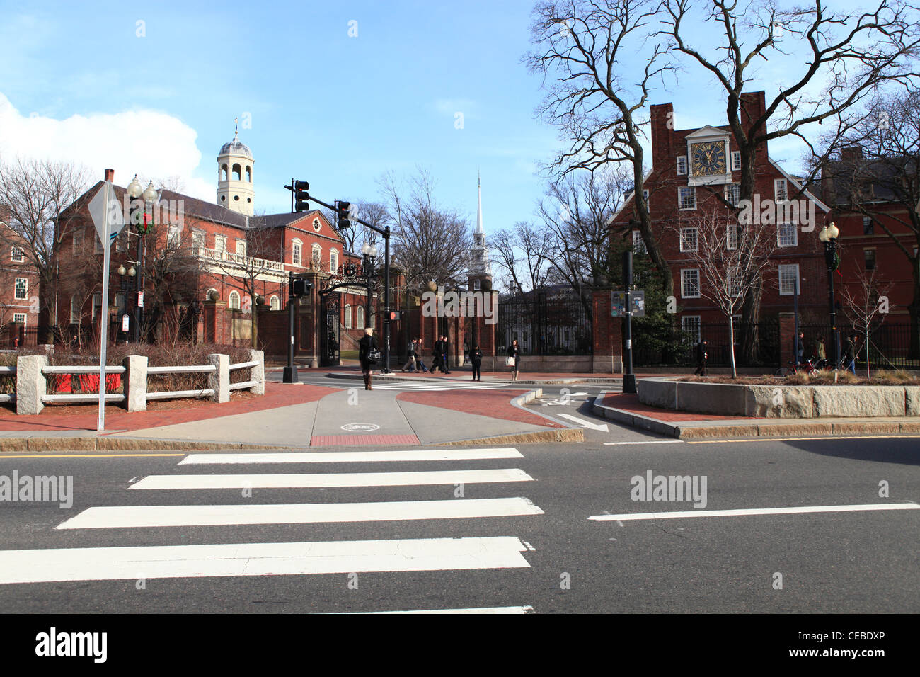 Harvard University campus in Cambridge Massachusetts Stock Photo Alamy