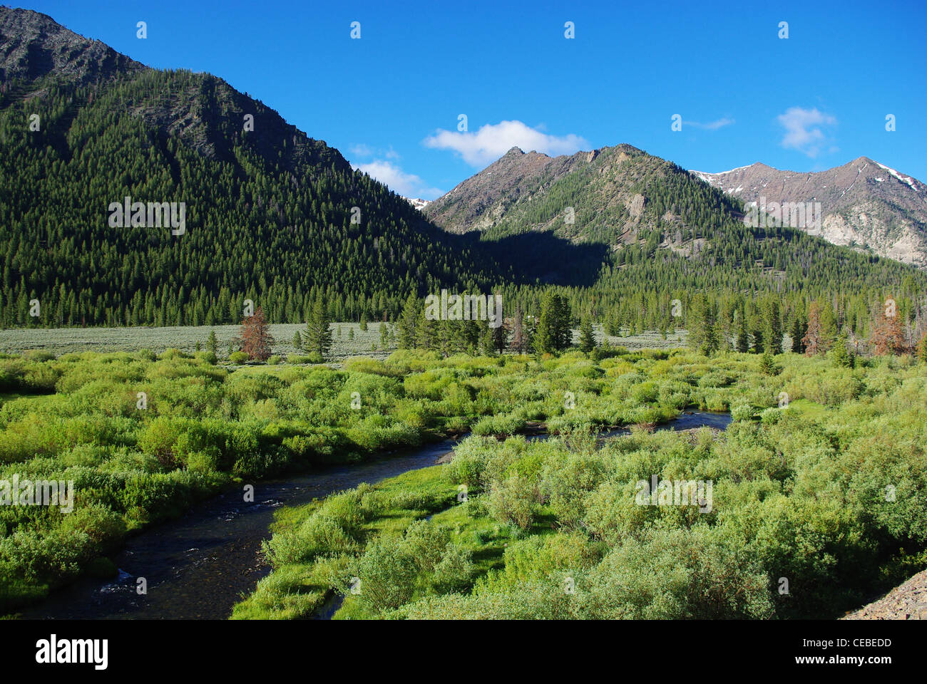 High mountain valley with river, Salmon Challis National Forest, Idaho